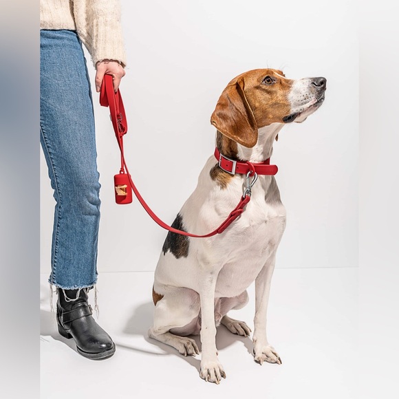 Wild One Collar Size XL - Red New w/Tag - Picture 9 of 9